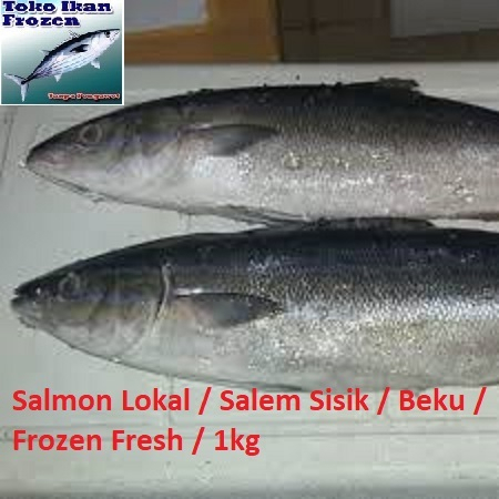 

Ikan SALMON Lokal / Salem Sisik / Beku / Frozen Fresh / 1 kg
