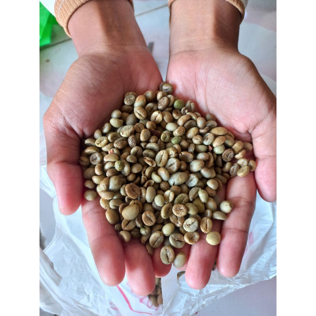 KOPI ROBUSTA/BIJI KOPI ROBUSTA/BIJI KOPI MENTAH ROBUSTA 1KG