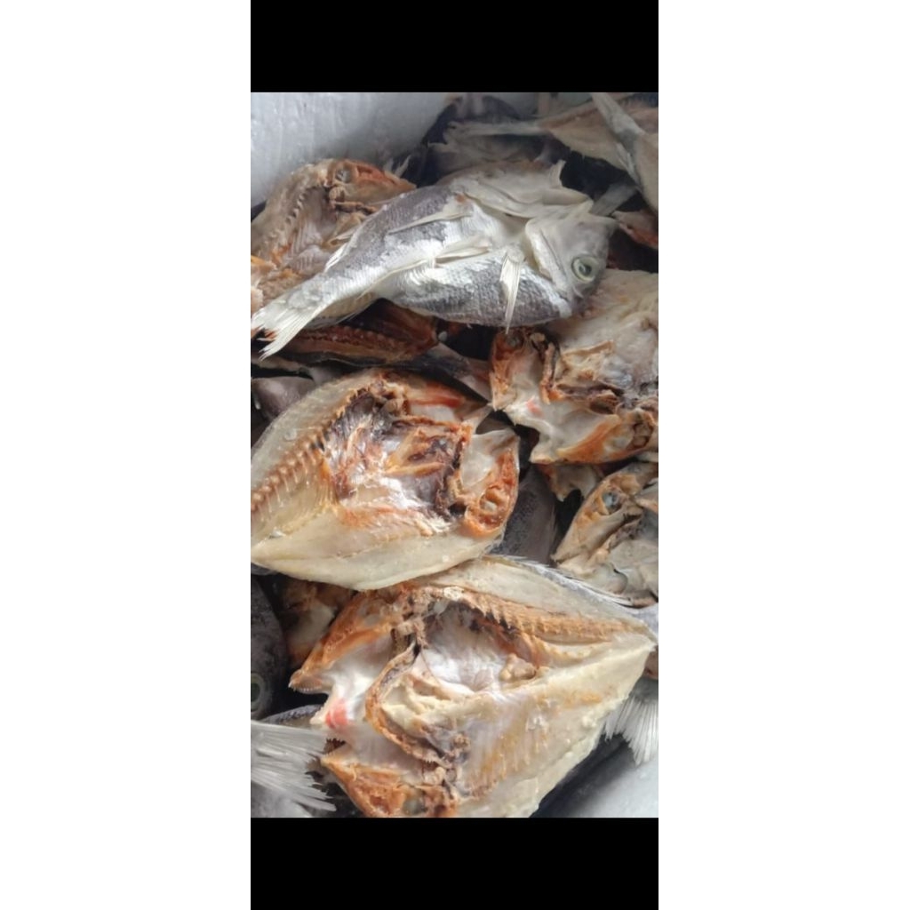

ikan kering katamba/ ikan kakap