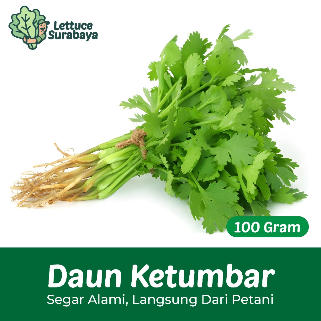 

Daun Ketumbar 100gr