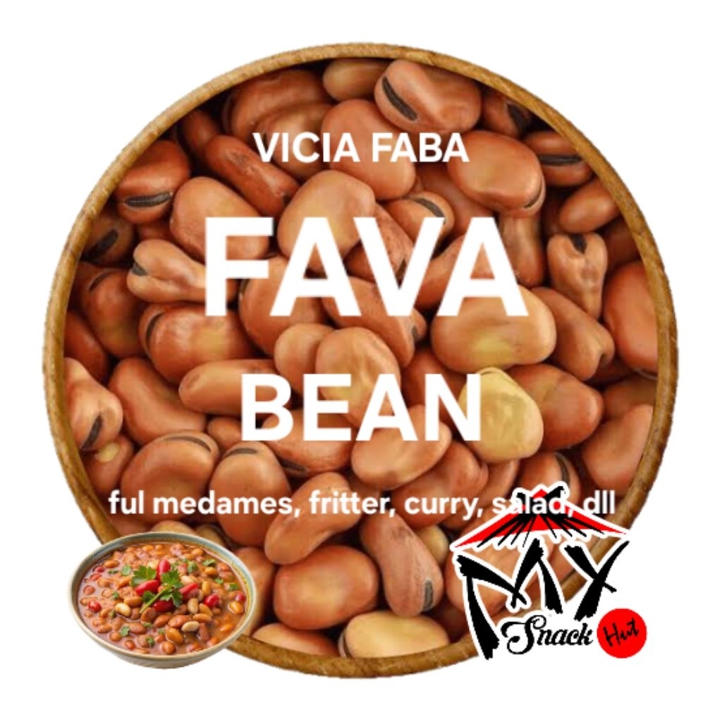 

KACANG FAVA 100GR FABA BEAN FABACEAE KAPRI KUDA TIK LADANG KERANG VICIA FABA REBUS GORENG SALAD