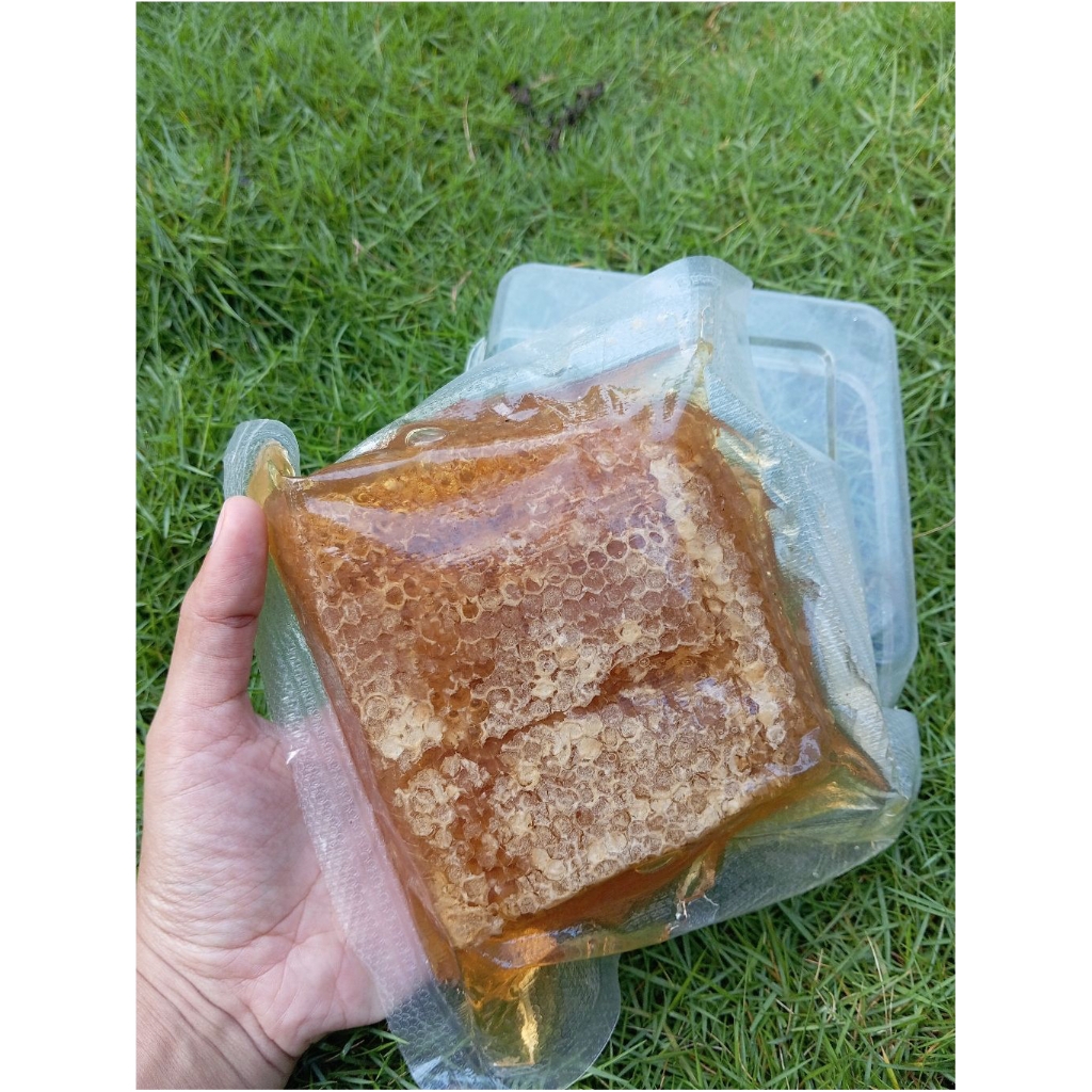 

MADU SARANG/HONEYCOMB