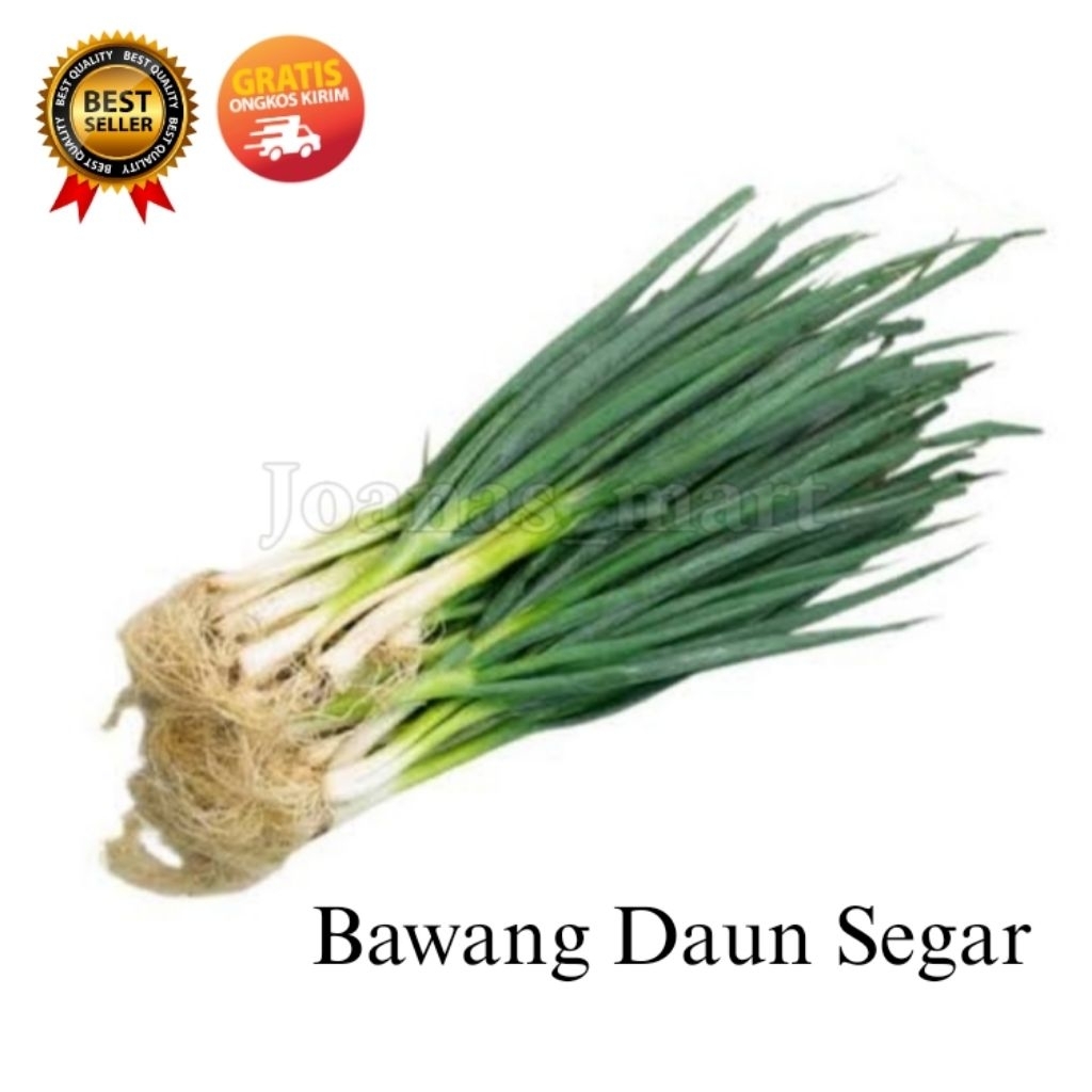 

Bawang Daun Fresh Bandung 1 kg