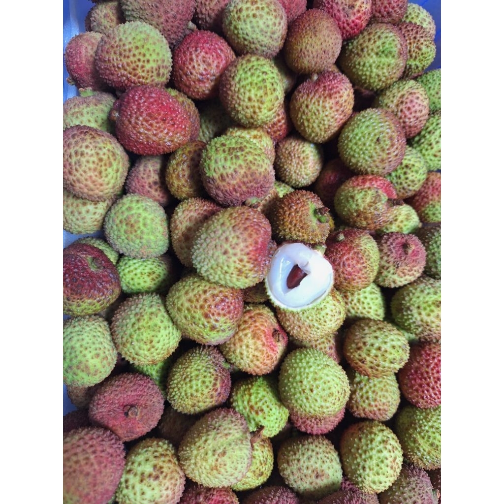 

leci madu