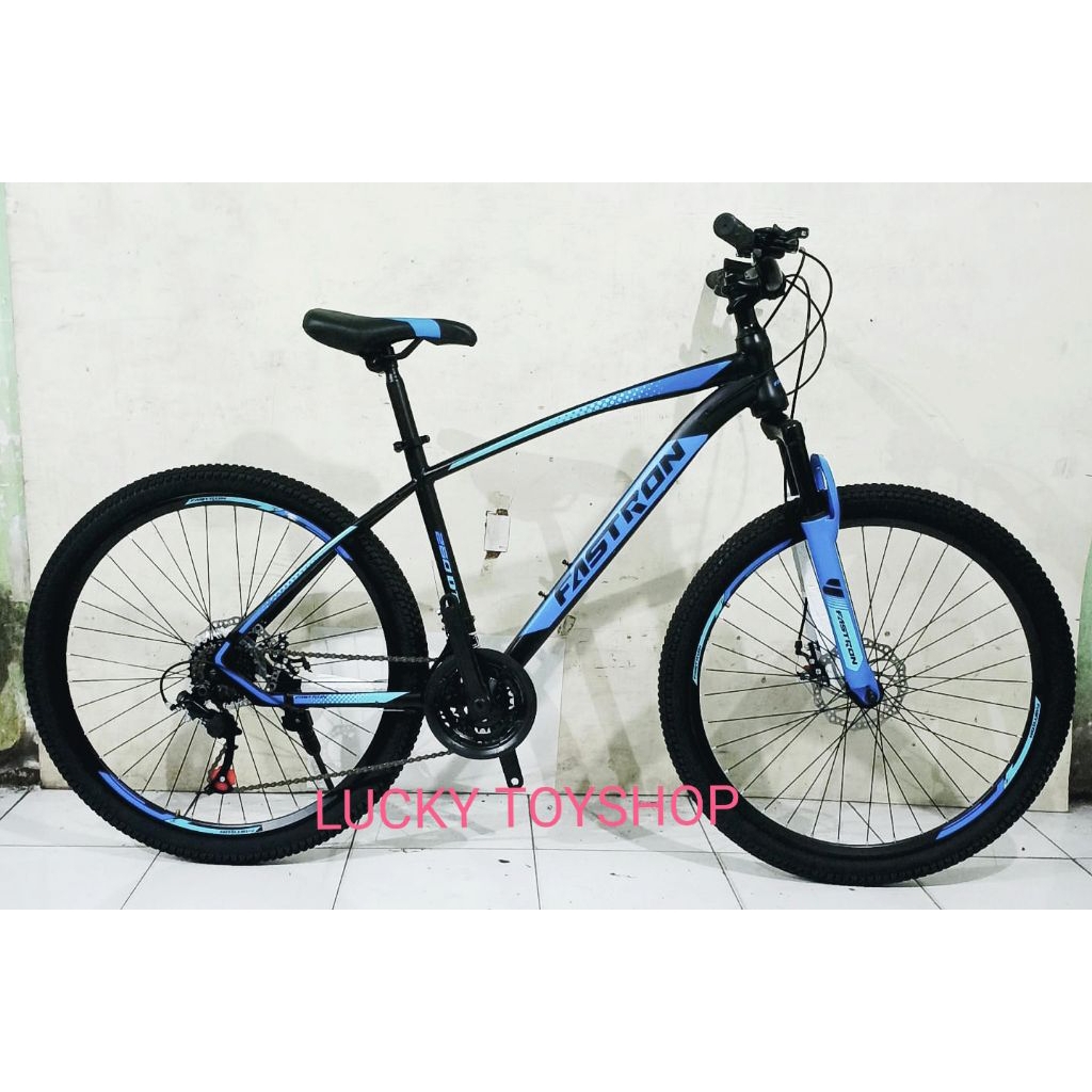 Sepeda gunung Mtb Fastron