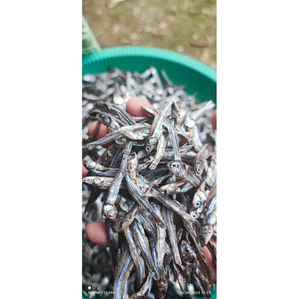 

ikan teri ukuran sedang (non garam)/aman untuk penderita hipertensi