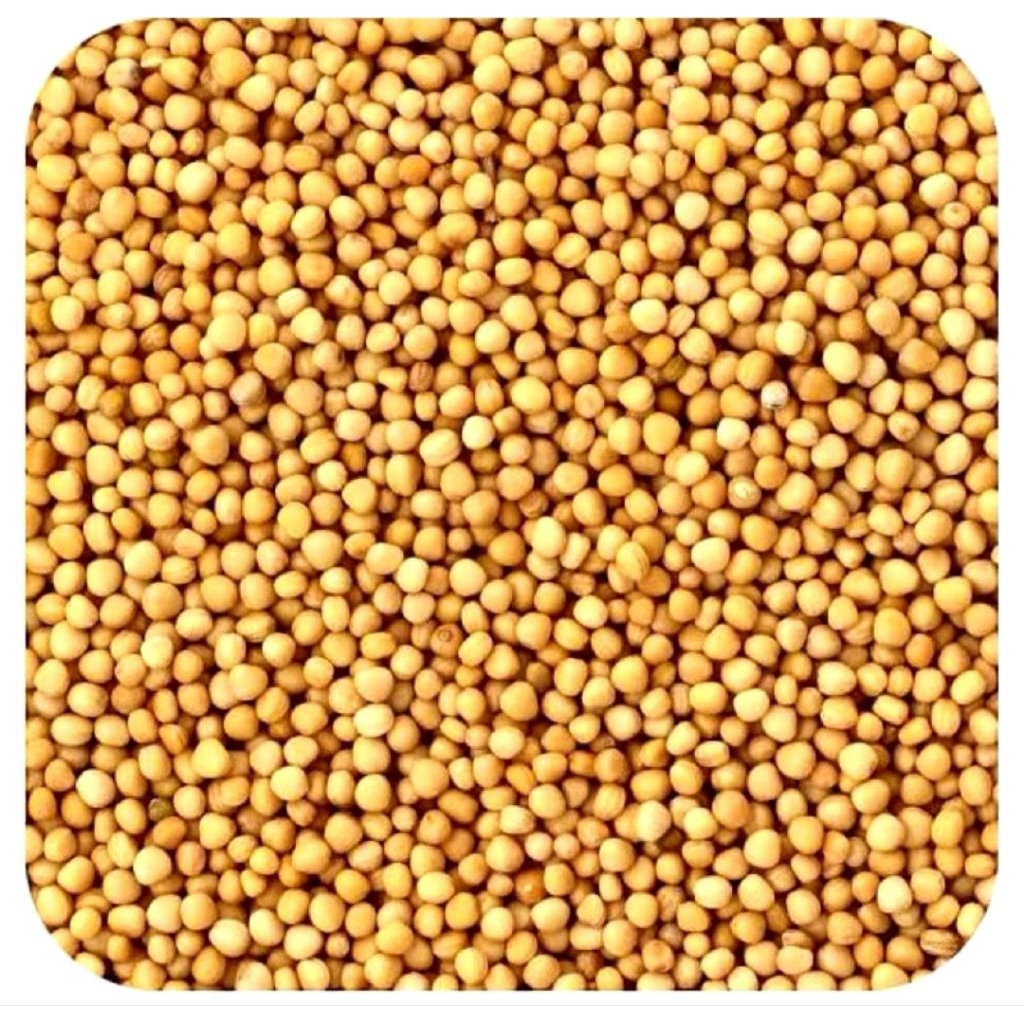 

bubuk mustard 50 gram
