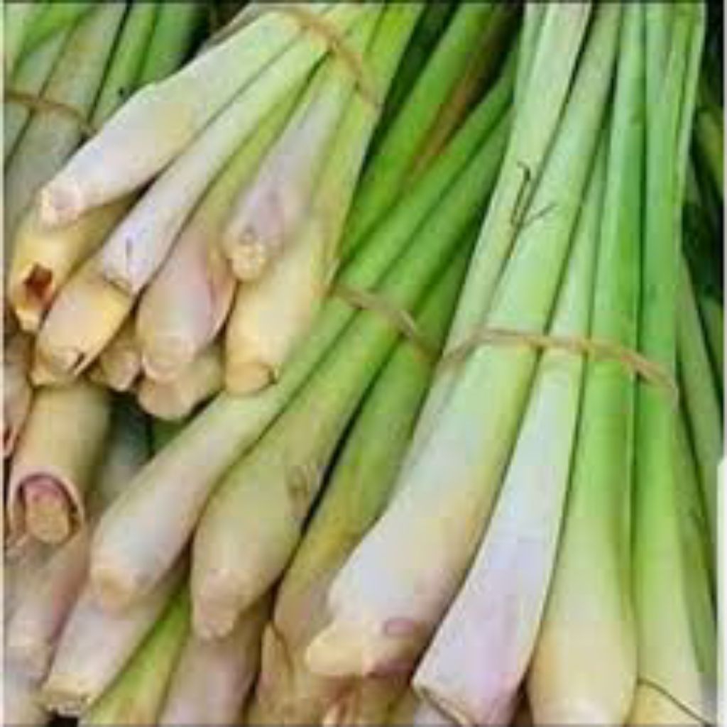 

1 KG SERAI SEREH MASAK FRESH GRADE A