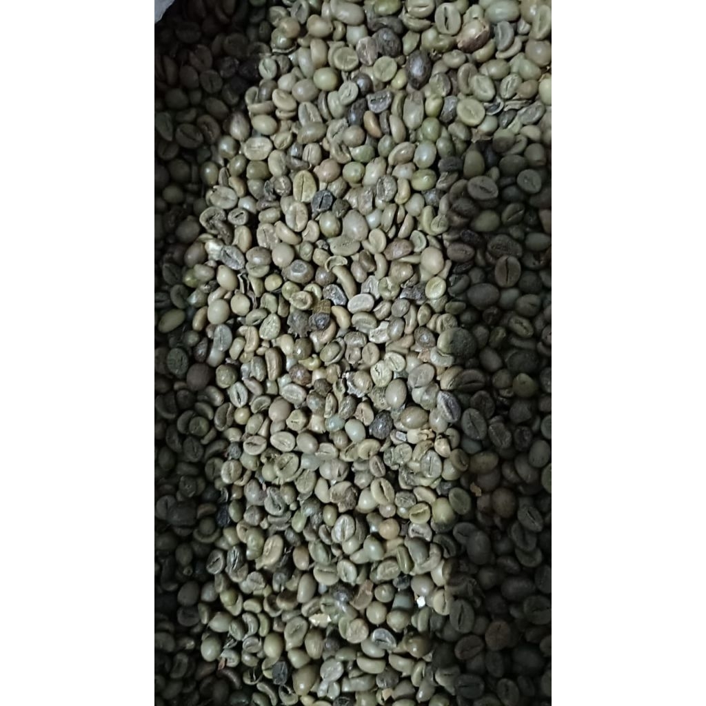

kopi ROBUSTA asalan size kecil 1kg