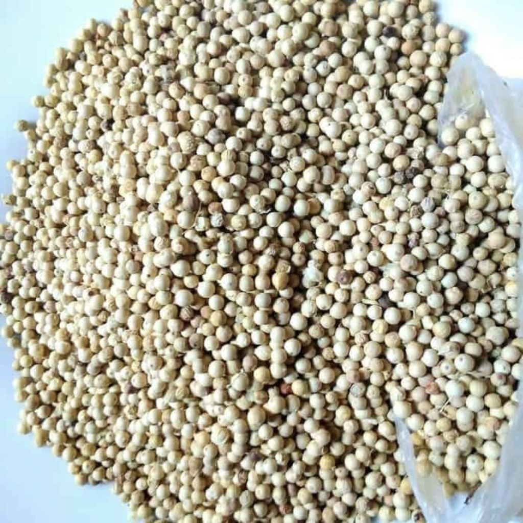 

PROMO Lada Putih Asli 1kg / Lada Putih Kering Utuh / Pedes / Merica Putih/ Sahang / Pipper Nigrum