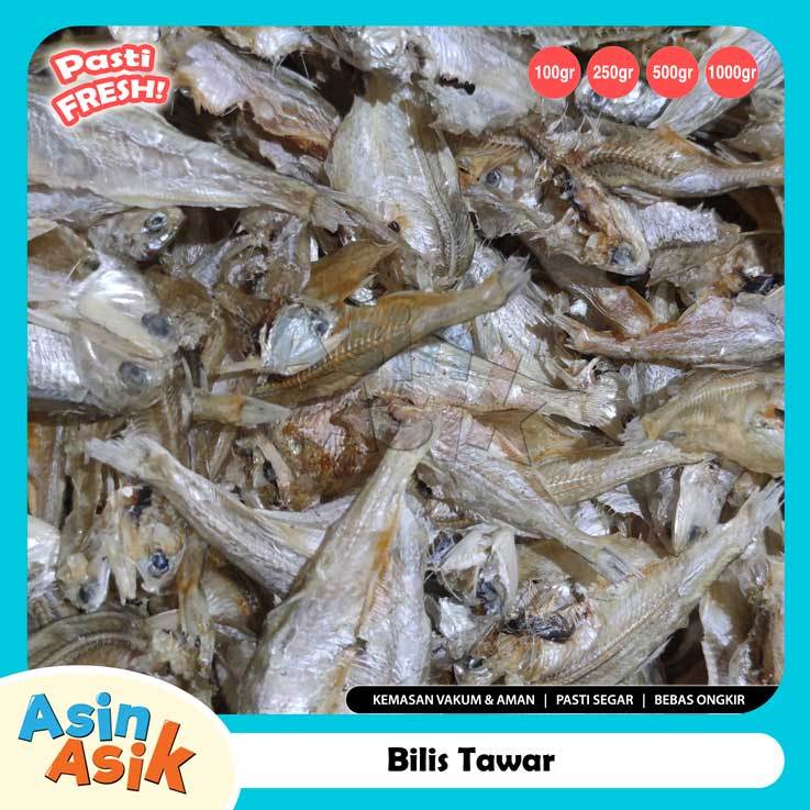 

Ikan Asin Bilis Tawar Premium Kualitas Super Segar Fresh Kemasan Vakum Aman