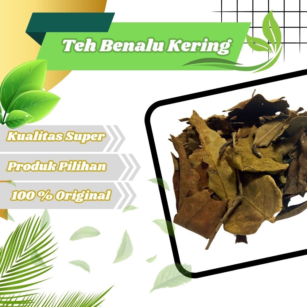 

Jamu Herbal Tradisional teh Daun Benalu kering Untuk Kanker,Epilepsi