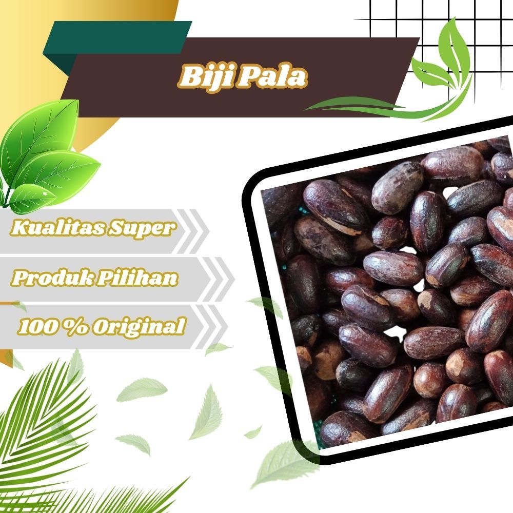 

Biji Pala lonjong asal papua rempah penyedap bumbu masakan