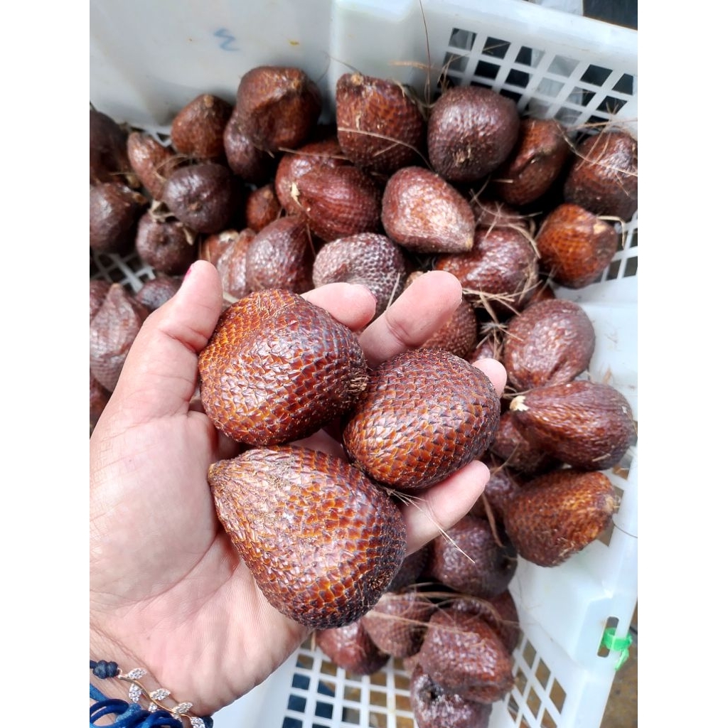 

(2kg) salak pondoh sedang asli Srumbung manis kriuk fresh kemasan 2kg