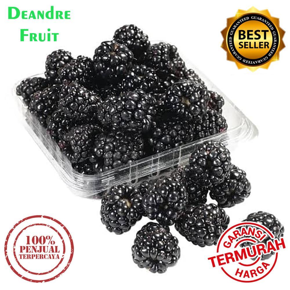 

GROSIR MURAH 1kg Buah Blackberry Frozen Mulberry Black Berry Murbei