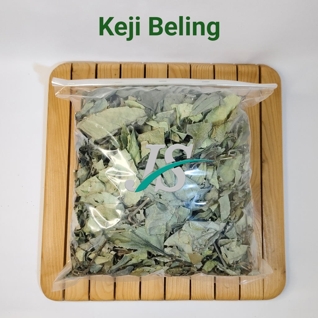 

Daun Keji Beling Kering 500 gram Daun Pecah Beling