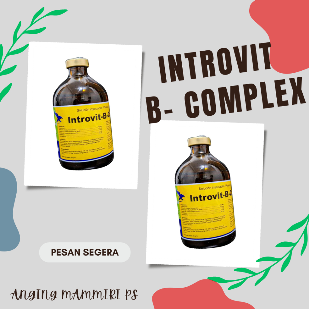 INTROVIT B - COMPLEX 100 ML (Injeksi Vitamin B Kompleks)