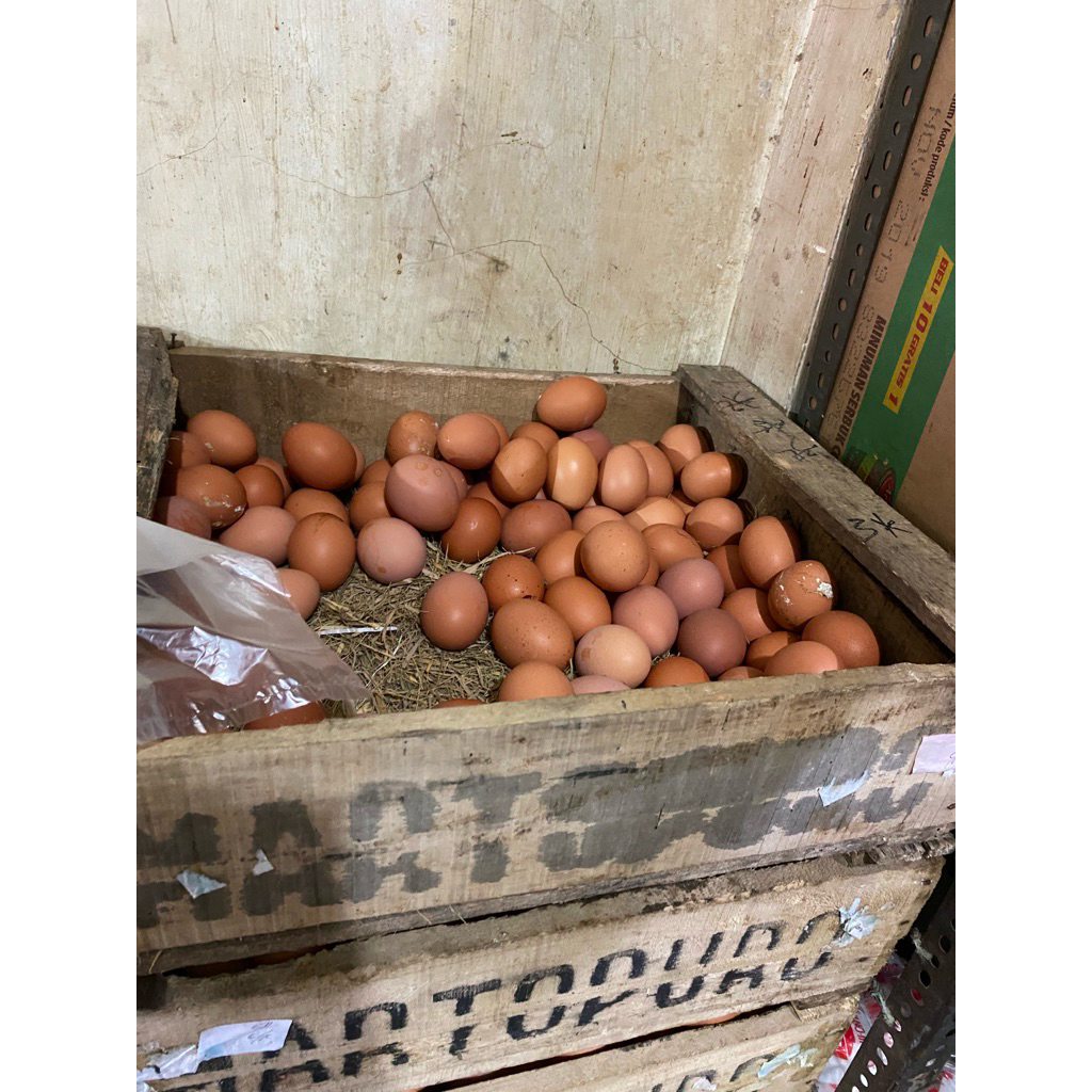 

telur ayam 1kg