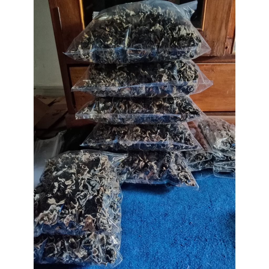 

jamur kuping kering hitam kemasan 1kg