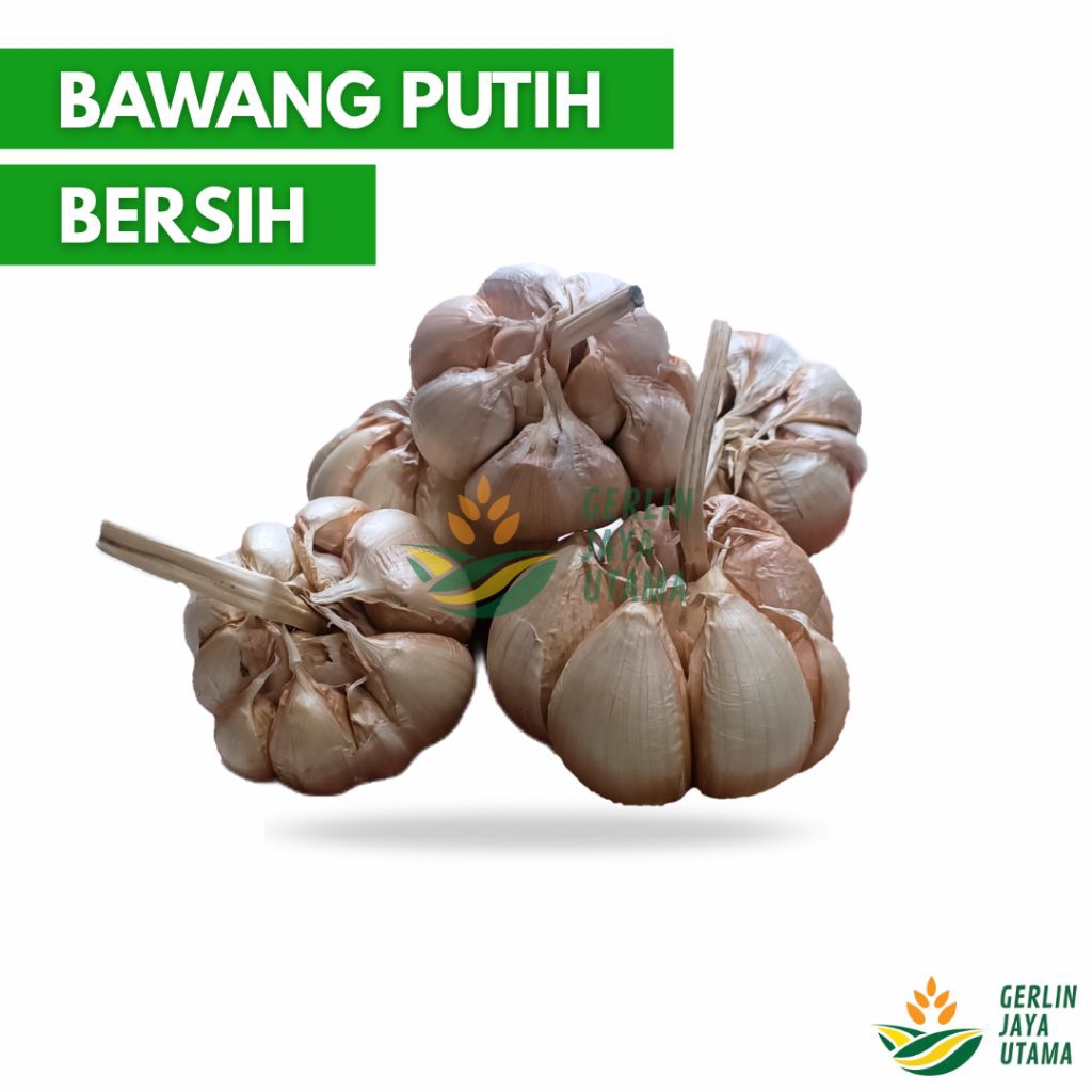 

(1Kg/500Gram/250Gram) Bawang Putih Bersihan (Bukan Kating)