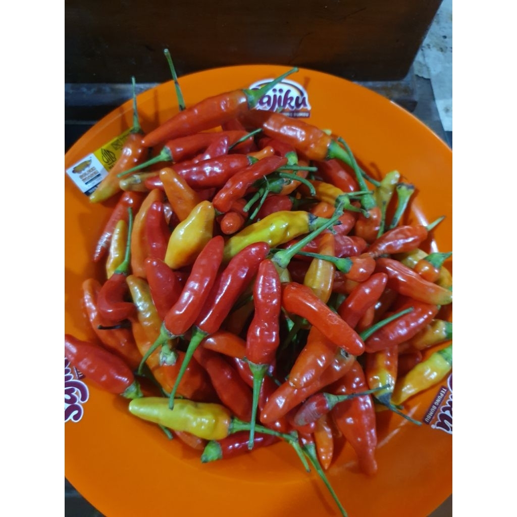 

cabe rawit merah super segar