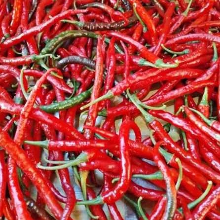 

100 gram cabe kriting /cmk fress ,petik langsung dari petani