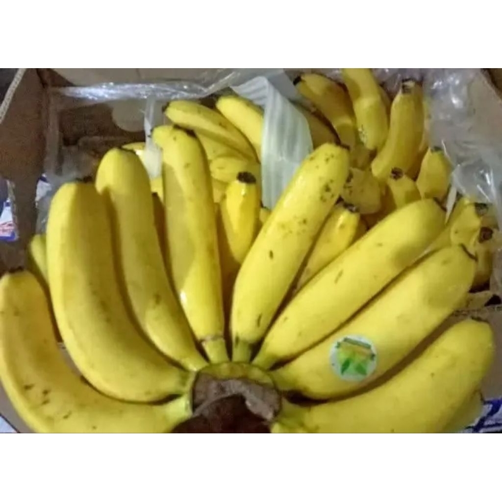 

binik pisang tuntun