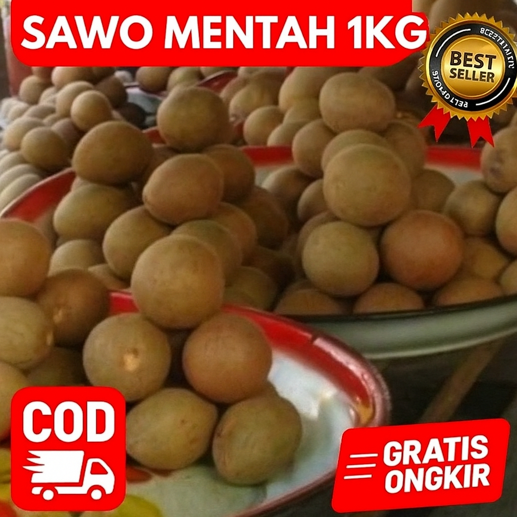 

Buah Sawo Mentah 1 Kg – Buah Segar Pilihan Cocok untuk Simpan Lama, Olahan Tradisional