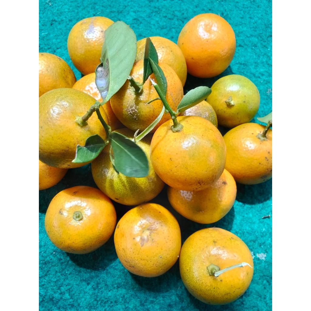 

jeruk sonkit kesturi Mateng 1kg