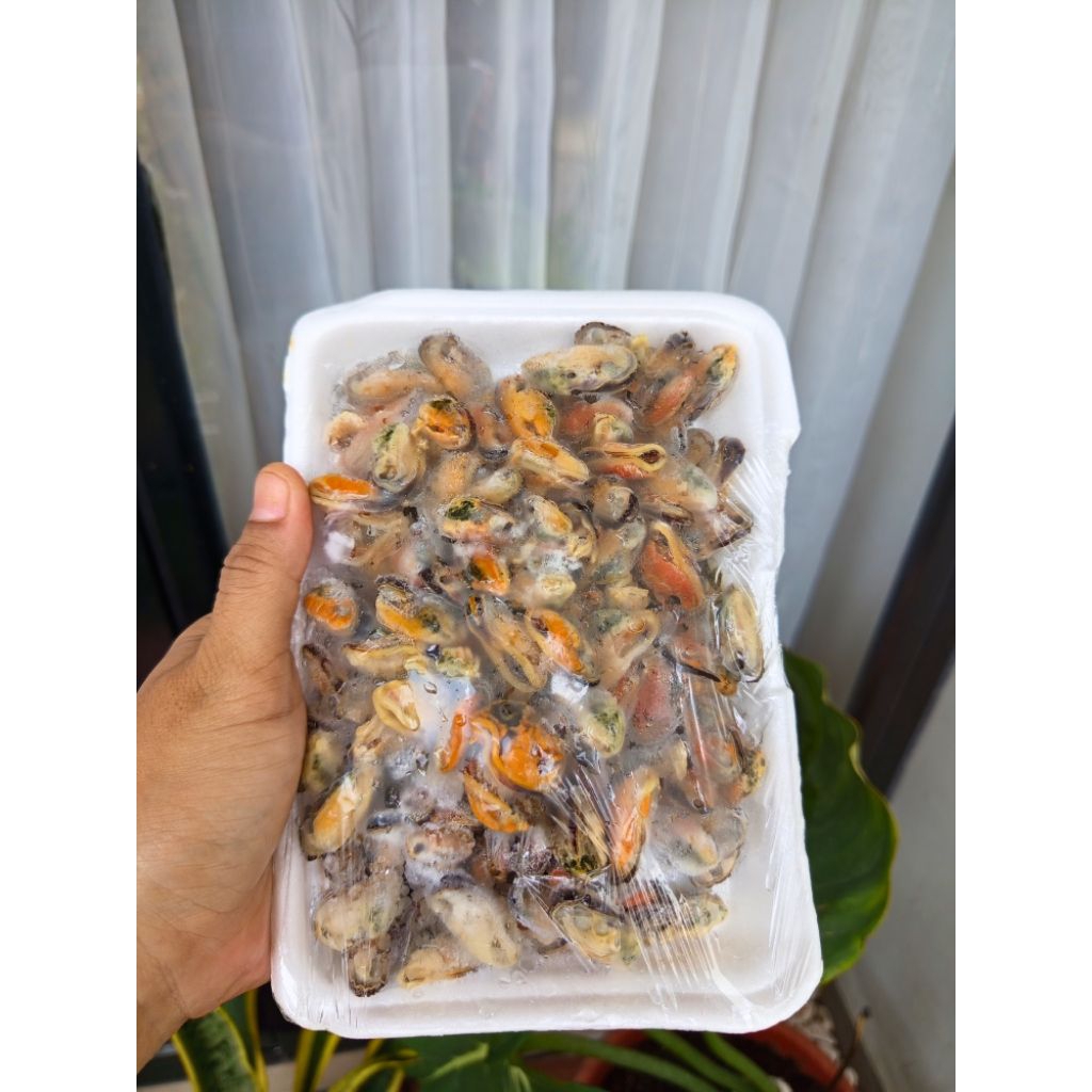 

Kerang 250gr