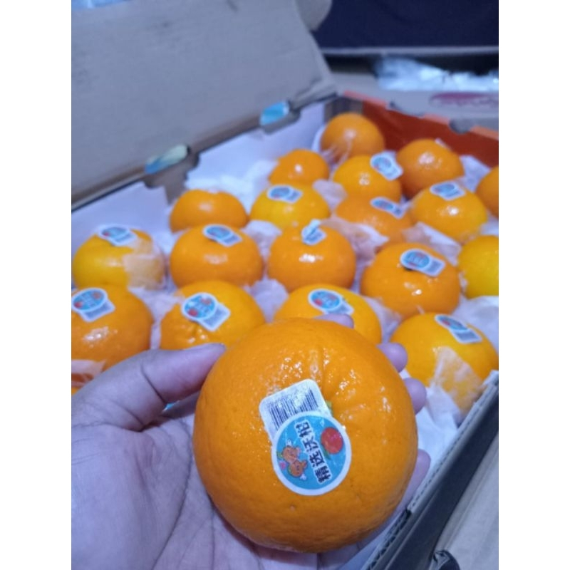 

Jeruk Woogan Import Super Fresh & Premium wokam tianan mandarin 1kg 500gram