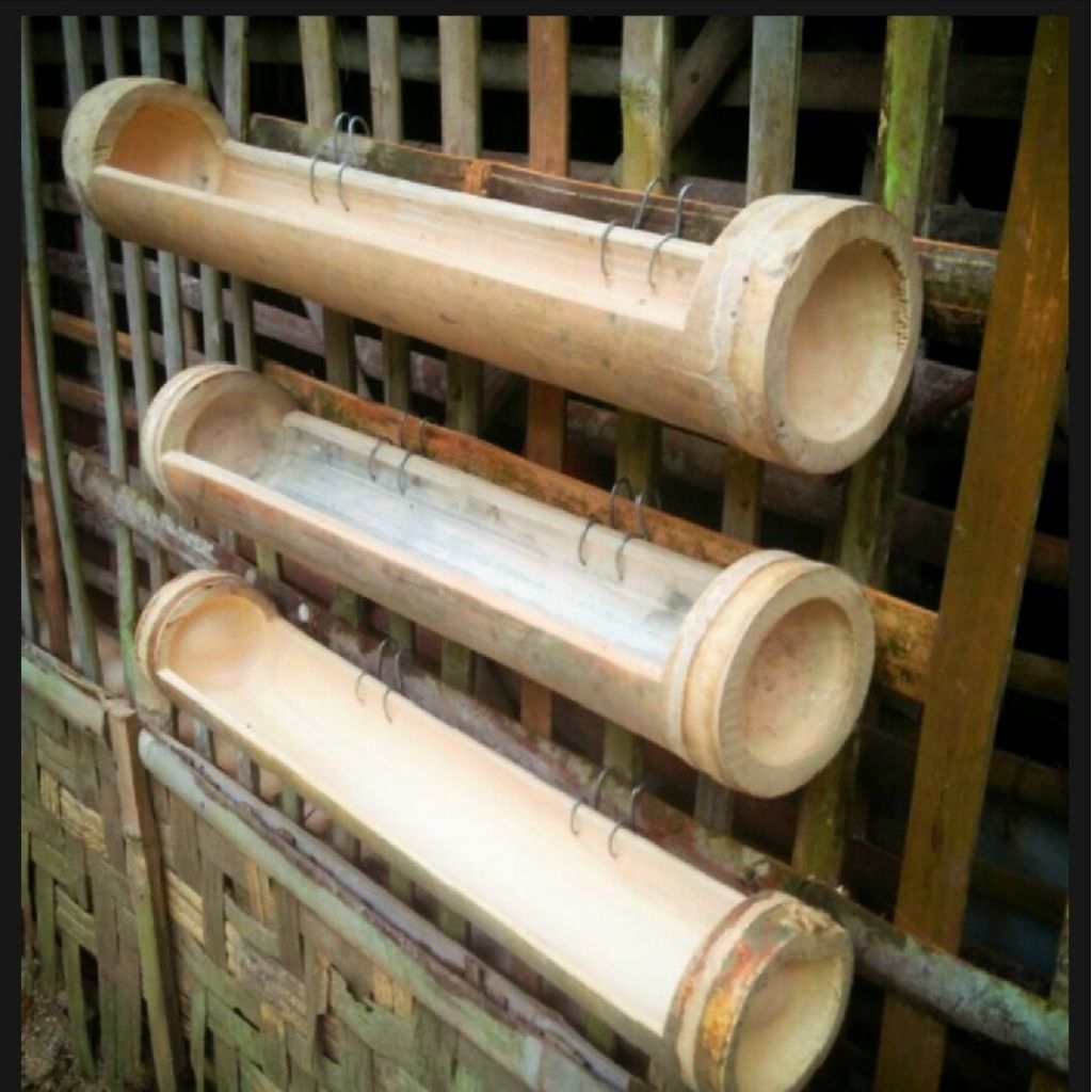 Tempat menyimpan pakan ayam anti tumpah