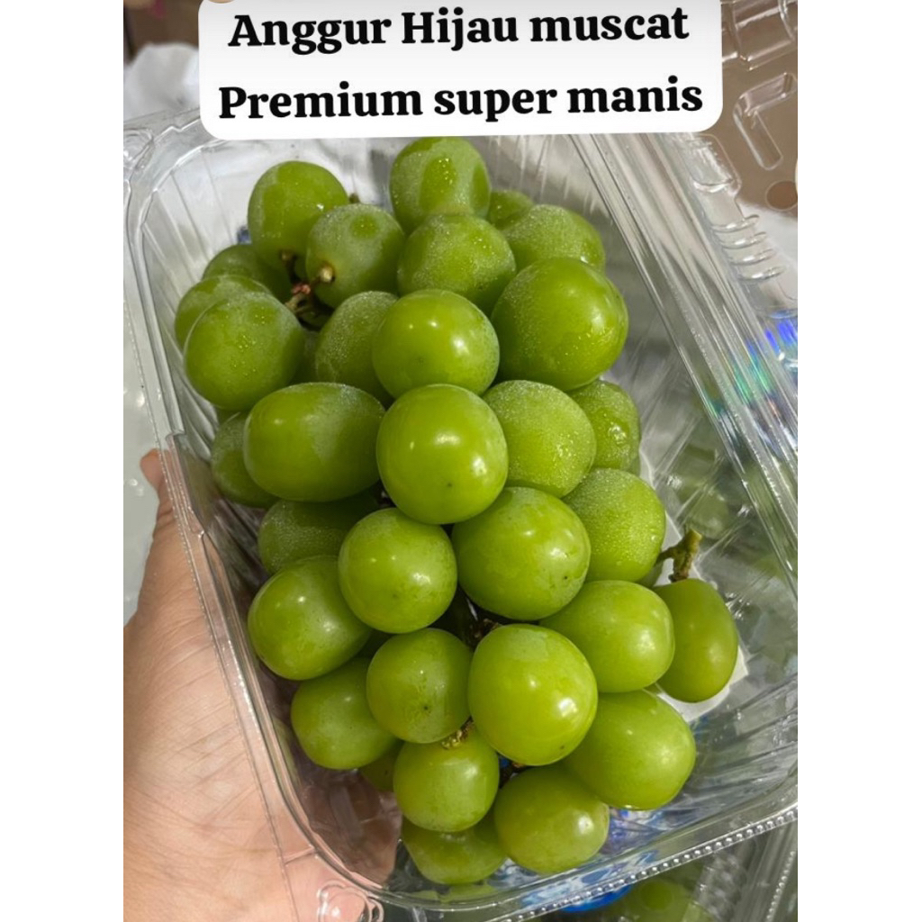 

Anggur shine muscat curah premium