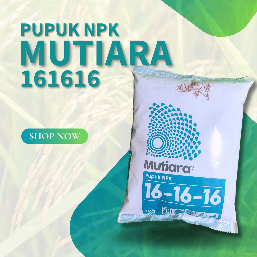 Pupuk NPK Mutiara 161616 1 kg