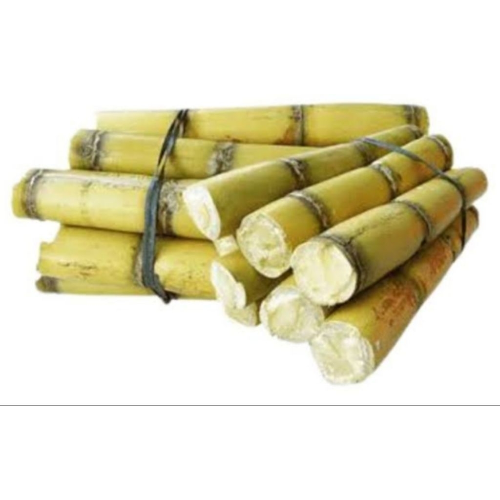 

jual batang tebu kuning manis 1 kg