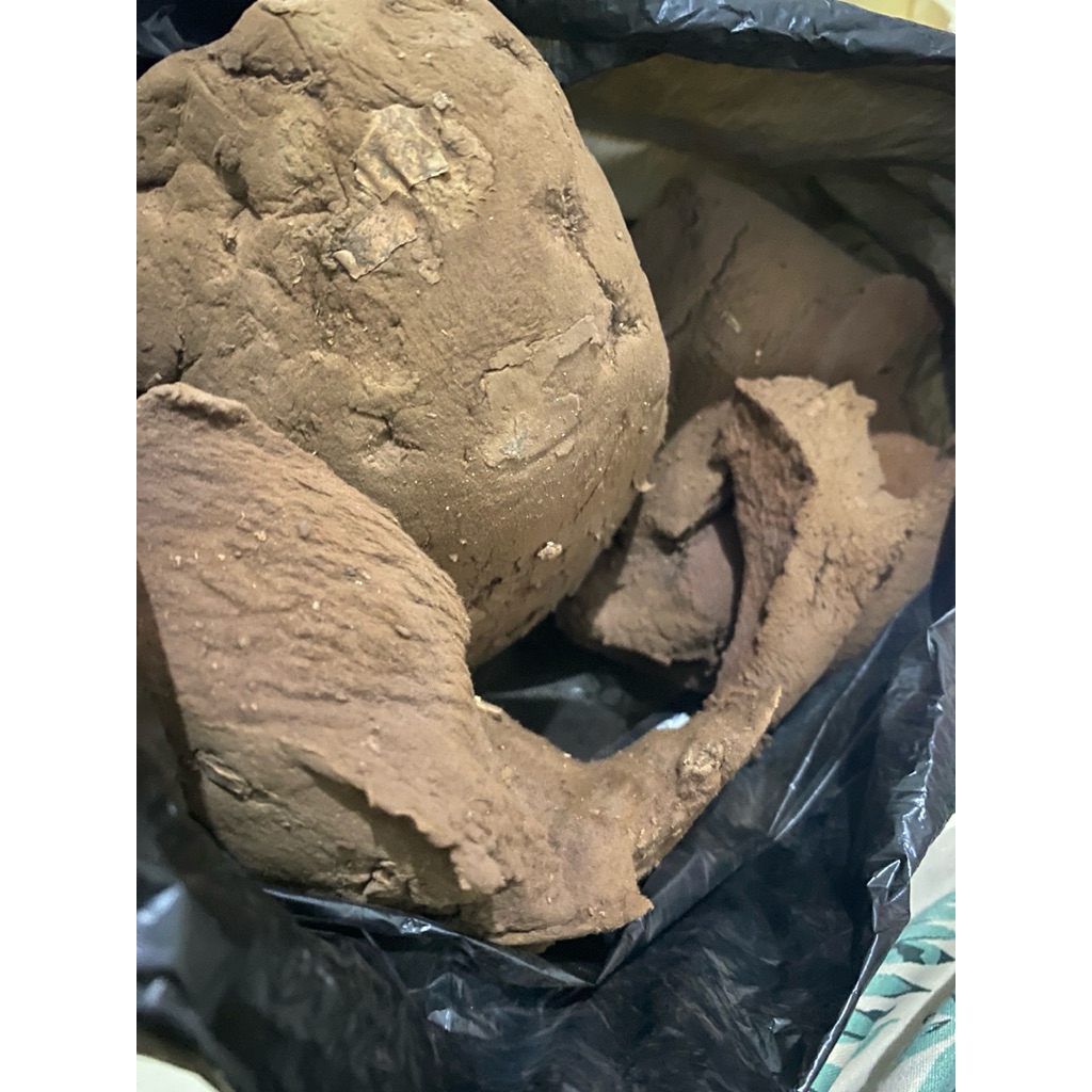 

jamur rimpes / jamur impes 50gr (1/2 ons)