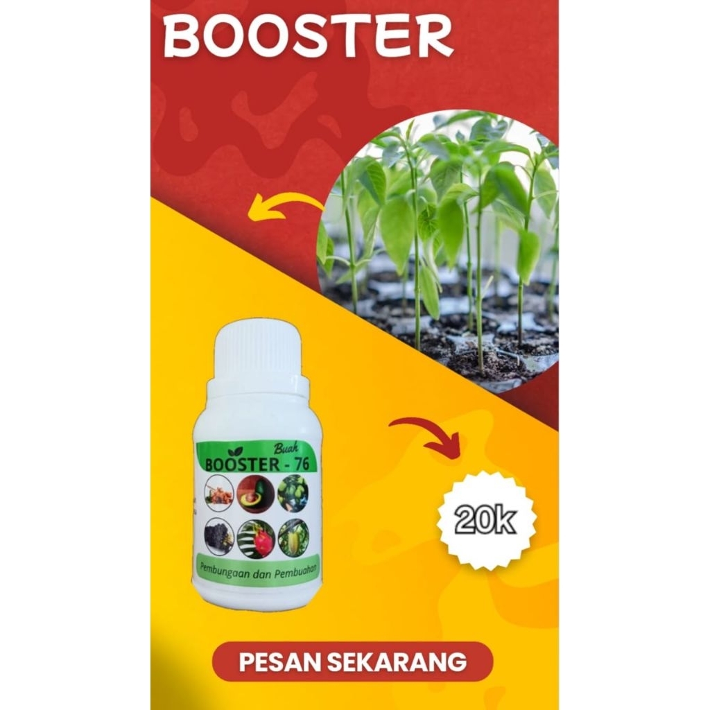 Boster Buah