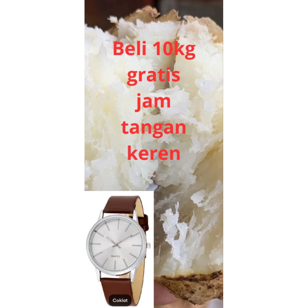

umbi gembili super pulen fresh 1 kg berkualitas beli 10kg gratis jam tangan