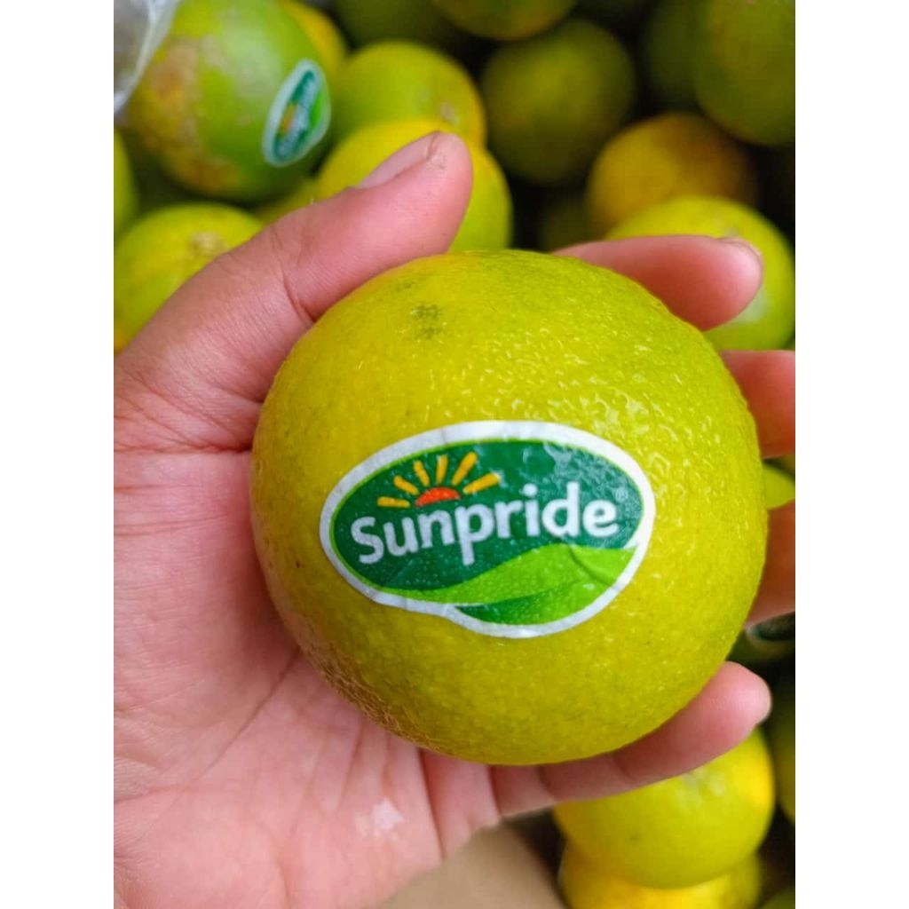 

Jeruk Baby Sunpride