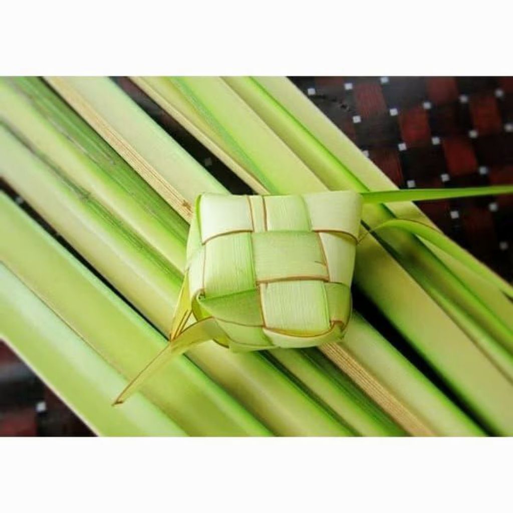 

daun kelapa kuning atau janur kuning untuk ketupat 20 lembar