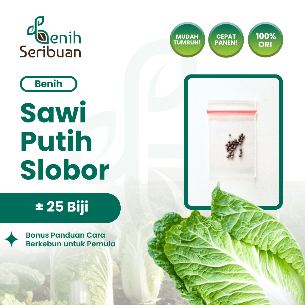 25 Benih Sawi Putih Autumn Sun F1 Bibit Sayuran Dataran Rendah Sayur Slobor Super Unggul Seribuan