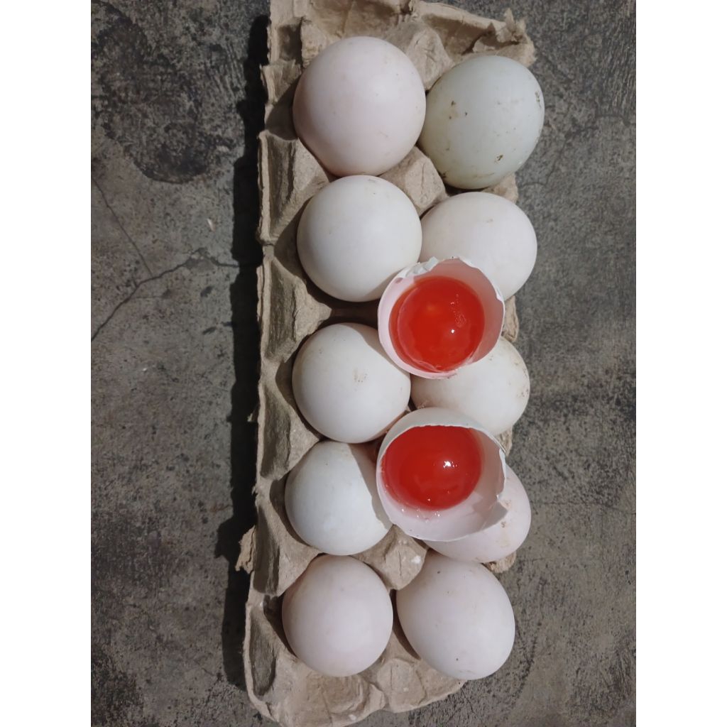 

telur asin