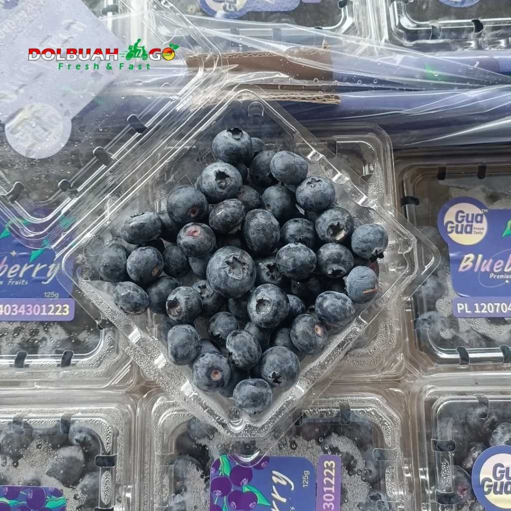 

Blueberry Import Manis Berkualitas - Dolbuah