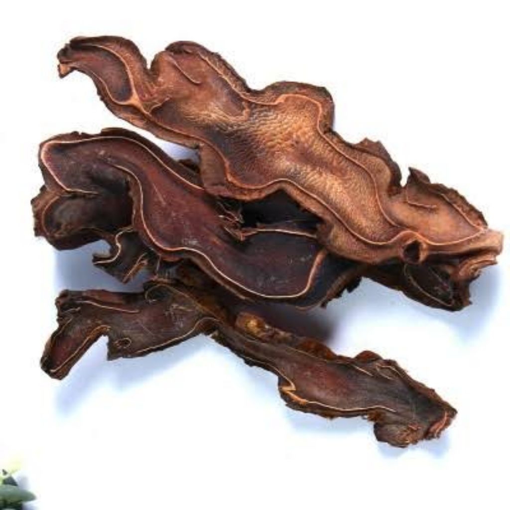 

Gou Ji (Iris)/狗脊片/Rhizoma of Scythian Lamb
