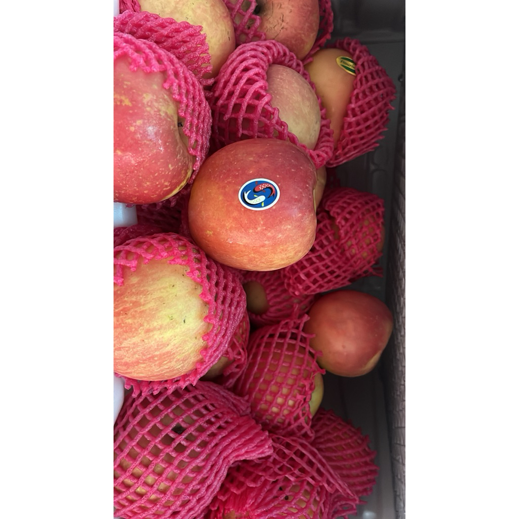 

Apel Fuji Premium [SIANTAR ONLY]