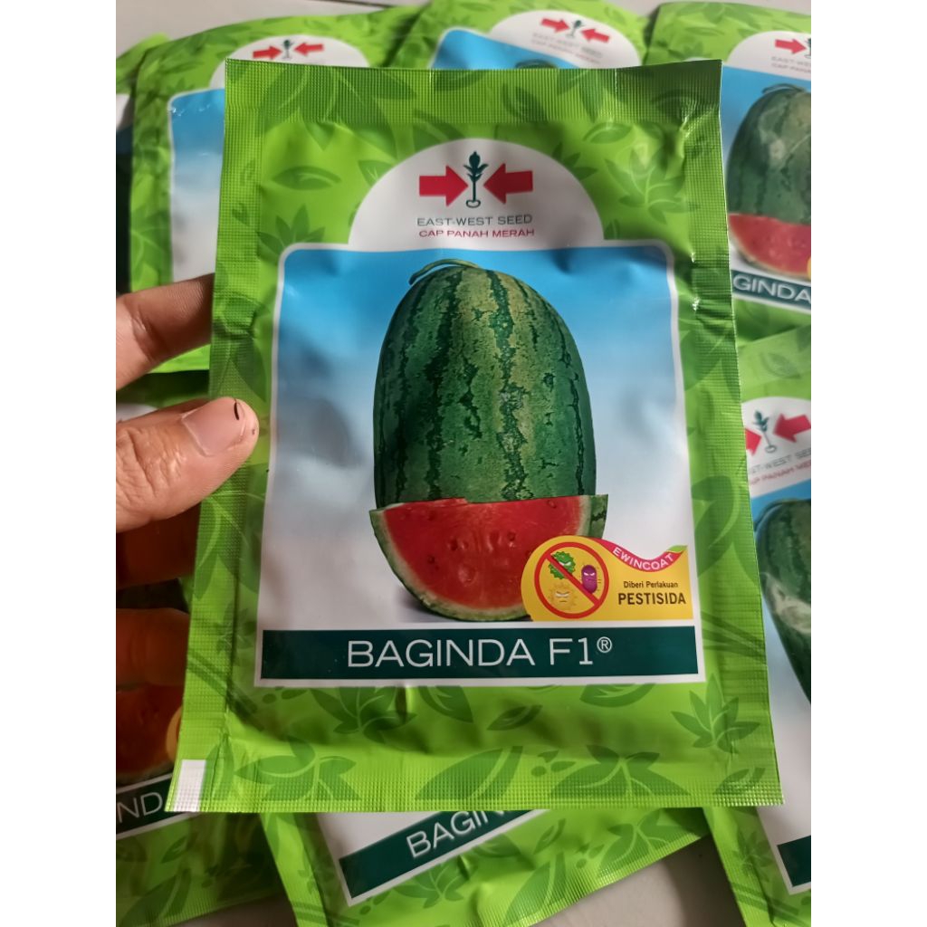 Benih Semangka Baginda F1 – Original Cap Panah Merah