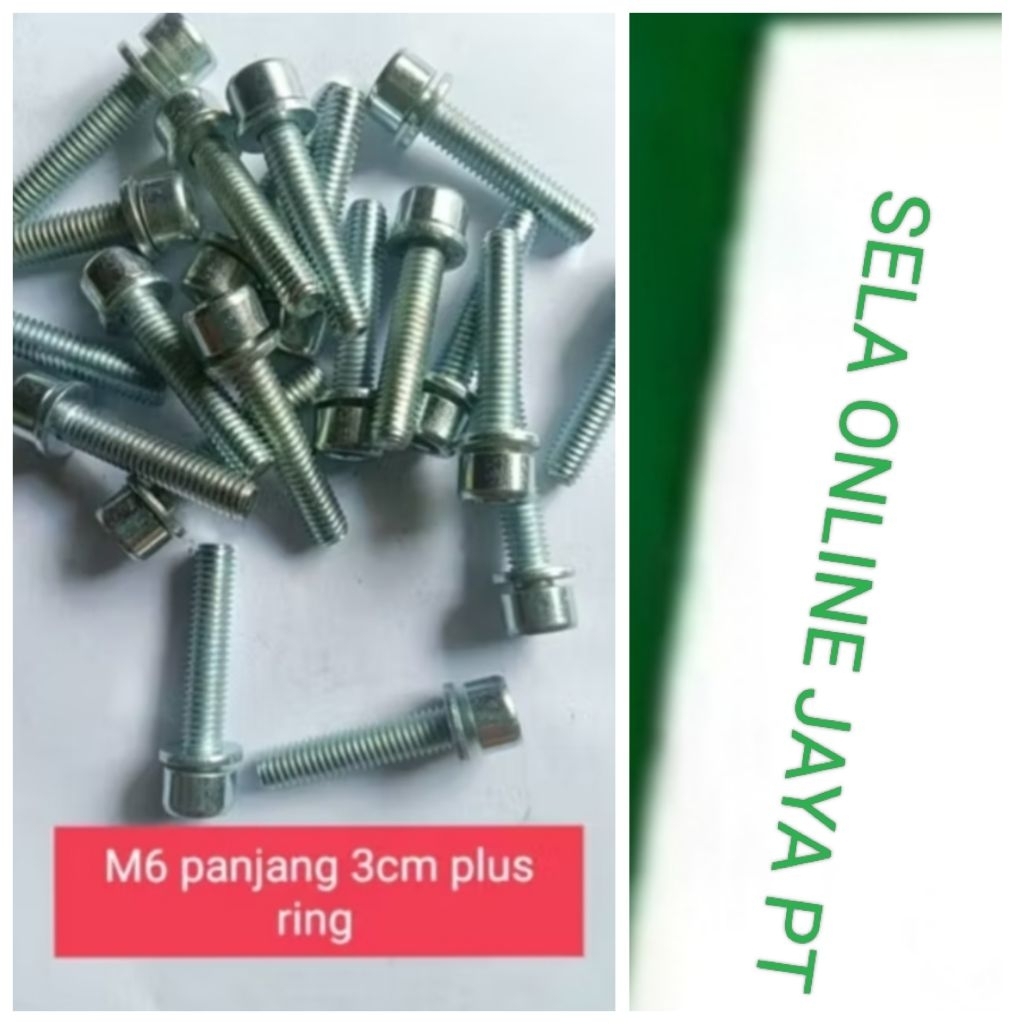 baut L m6 panjang 3cm plus ring