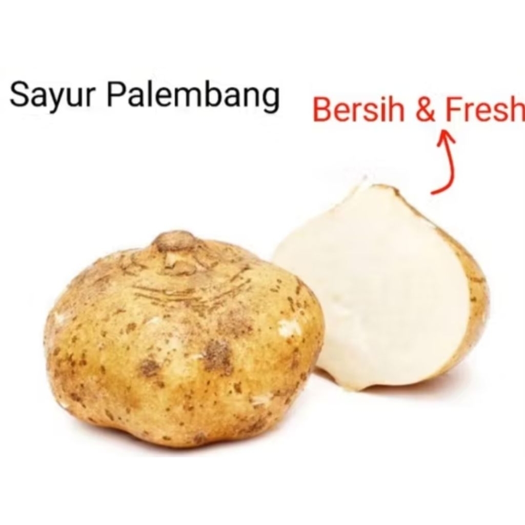 

BENGKOANG - Palembang