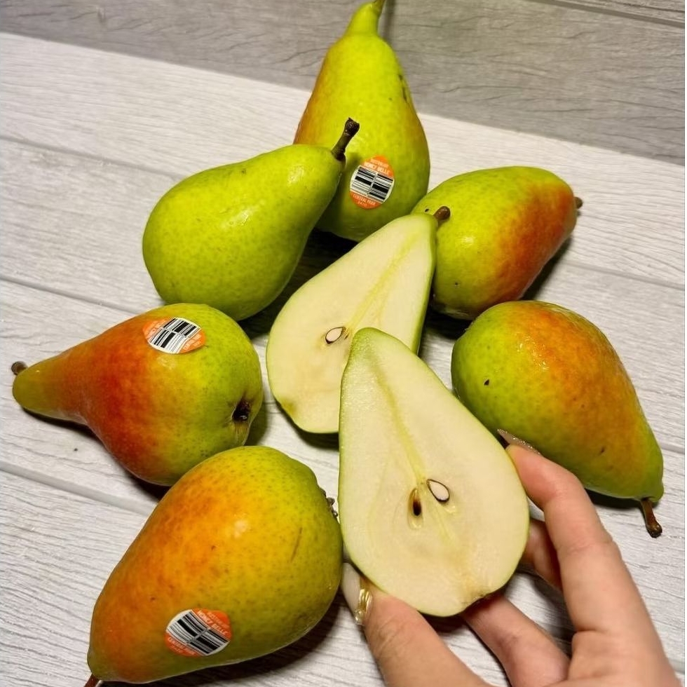 

BUAH PEAR FORELLE BLUSH 1kg