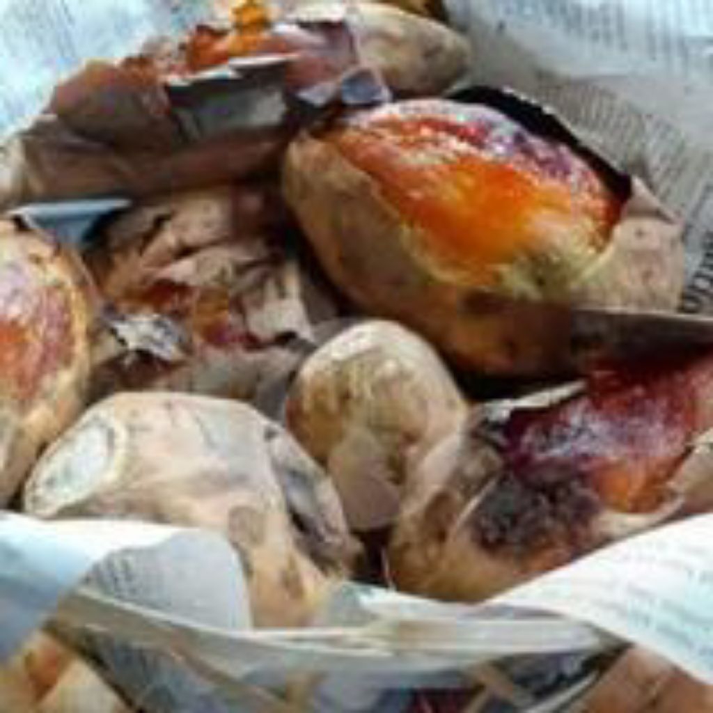 

Ubi bakarCilembu matang 1kg super